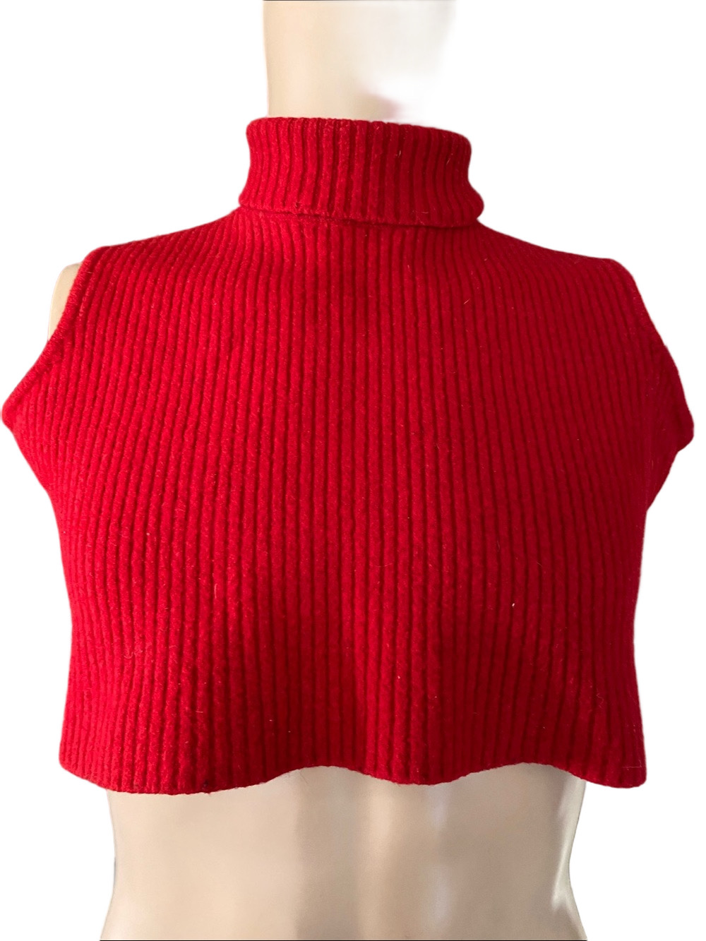 Sleeveless Ribbed Turtleneck Crop Sweater in Red